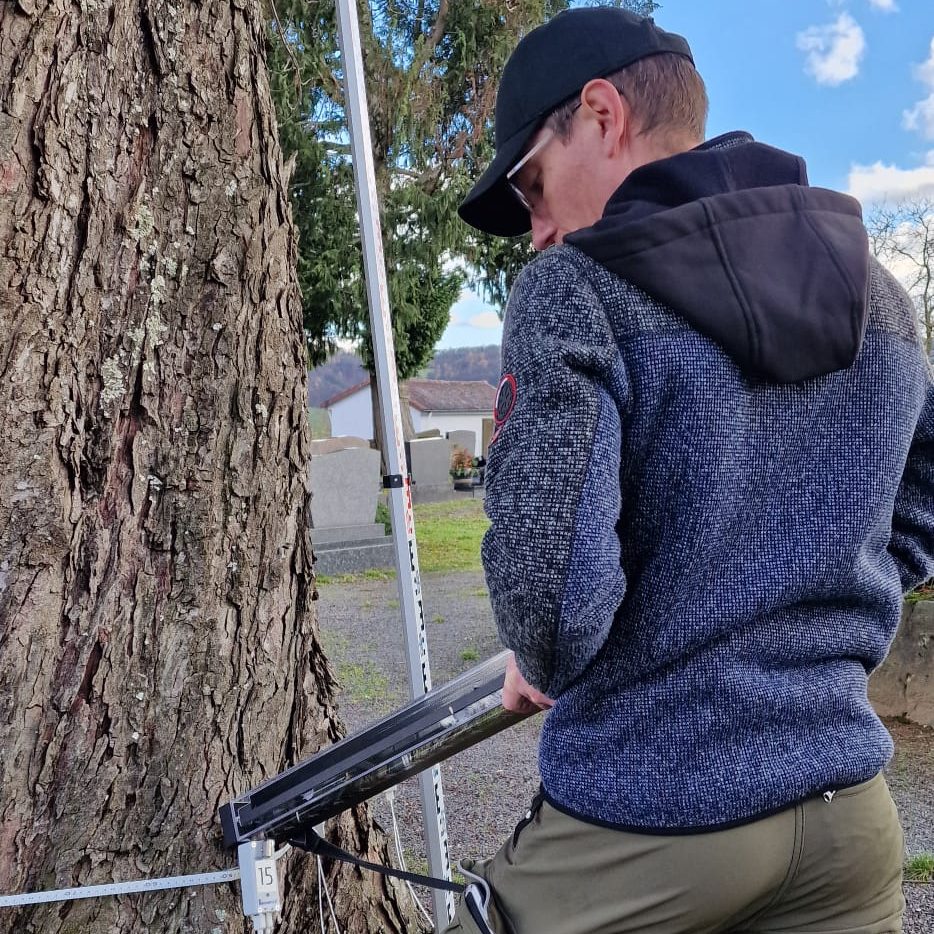 Bohrwiderstandsmessung