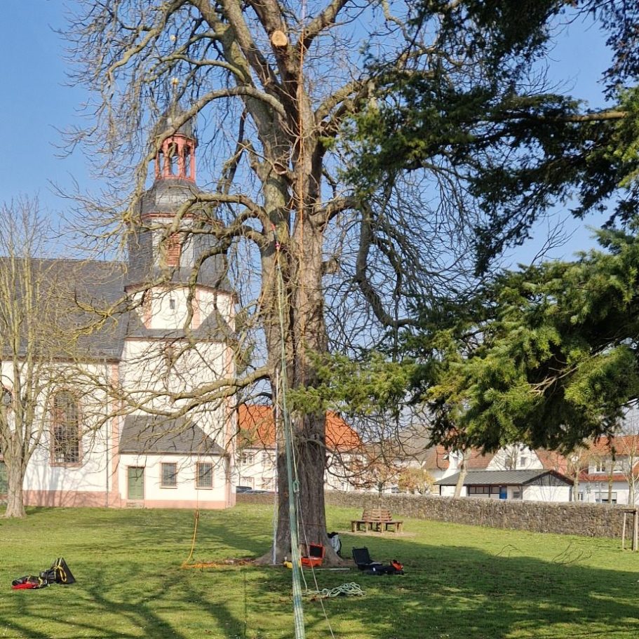 Zugseil bei Zugversuch
