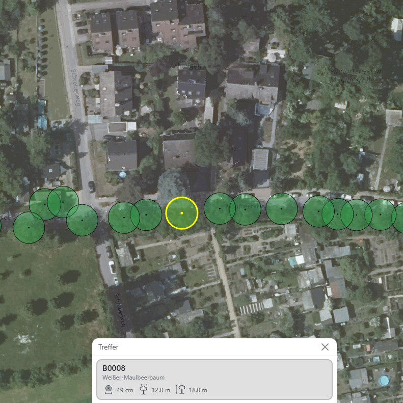 DOP20 Luftbild mit Baumsymbolen