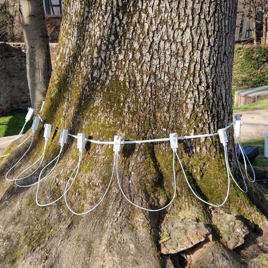 Sensoren für Schalltomographie