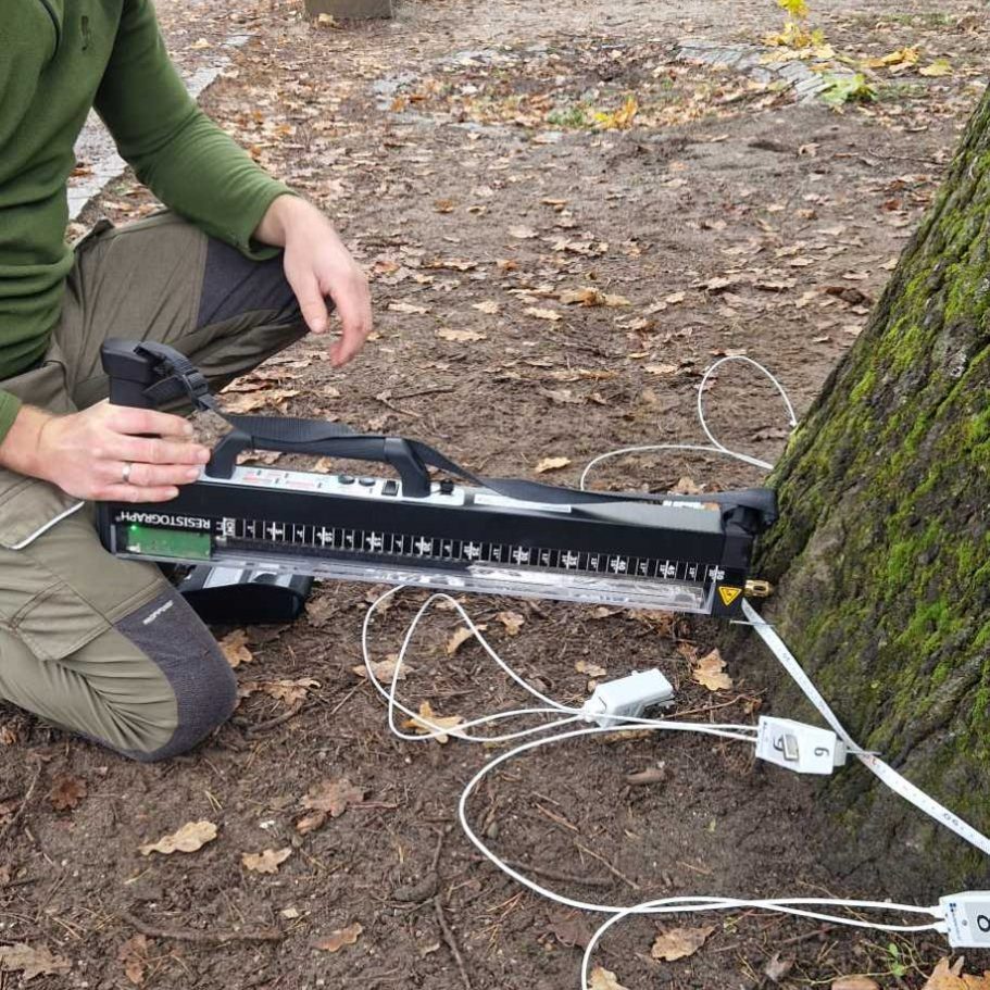 Bohrwiderstandsmessung